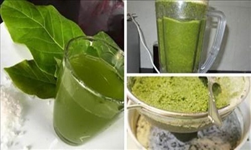 Ưu, nhược điểm của biện pháp chữa trị viêm da cơ địa bằng lá bàng
