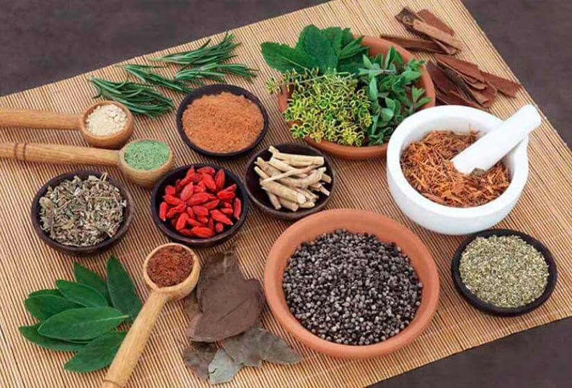 Bài thuốc Thanh dinh thang trị viêm da cơ địa