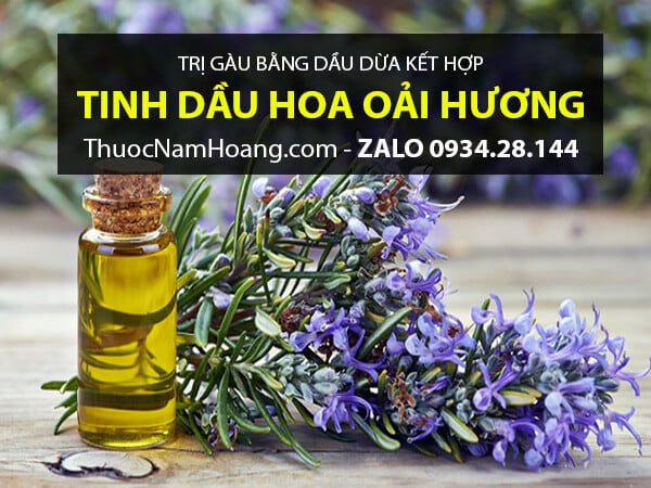 Dầu Dừa và Tinh Dầu Hương Thảo trị gàu