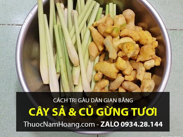 Sả cũng như Gừng trị gàu mảng