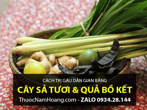Trị gàu bằng Sả kết hợp Bồ Kết