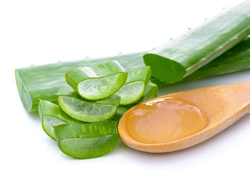 cách trị gàu bằng nha đam