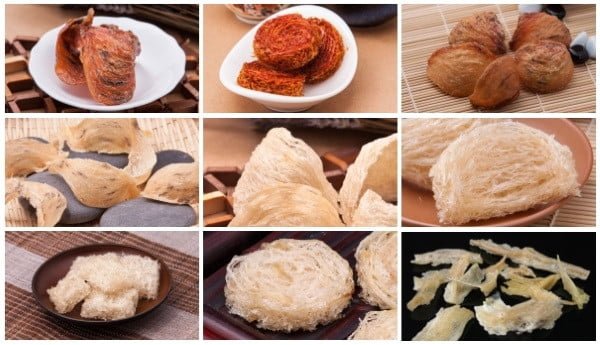 những loại tổ yến sào