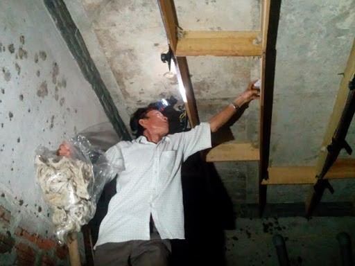 Đặc điểm tập tính sinh sản của chim yến