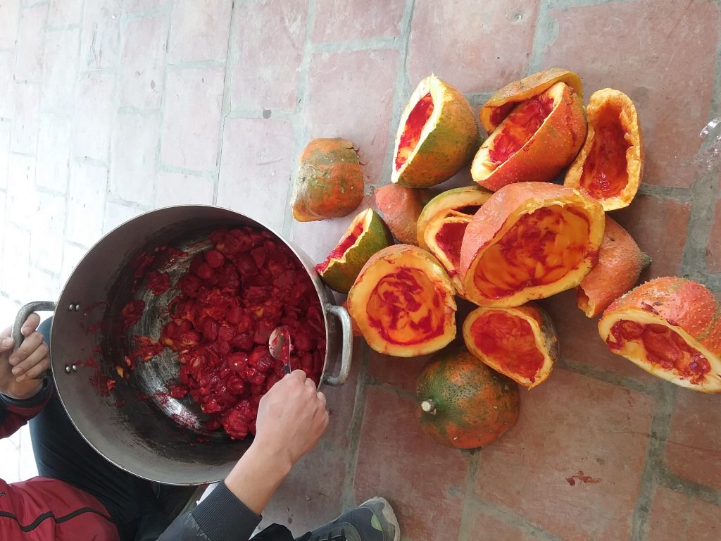 Dầu gấc cho bé mua ở đâu