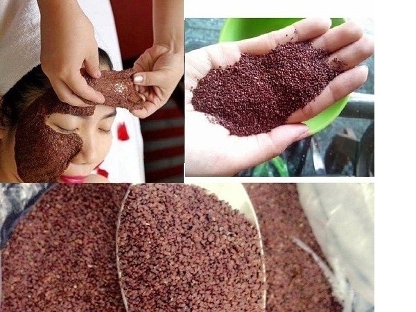 công dụng của hạt đình lịch
