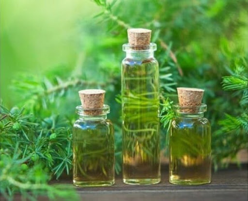 Giá tinh dầu tràm nguyên chất khoảng bao nhiêu?