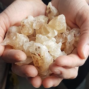 Cách nấu chè tuyết yến