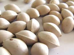 Hạt bạch quả mua ở đâu