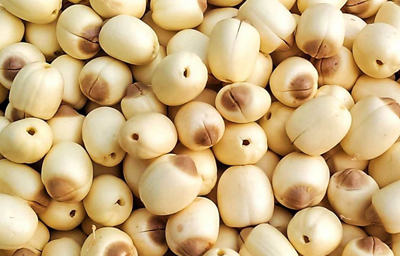 mua hạt sen khô tươi ở đâu TpHCM