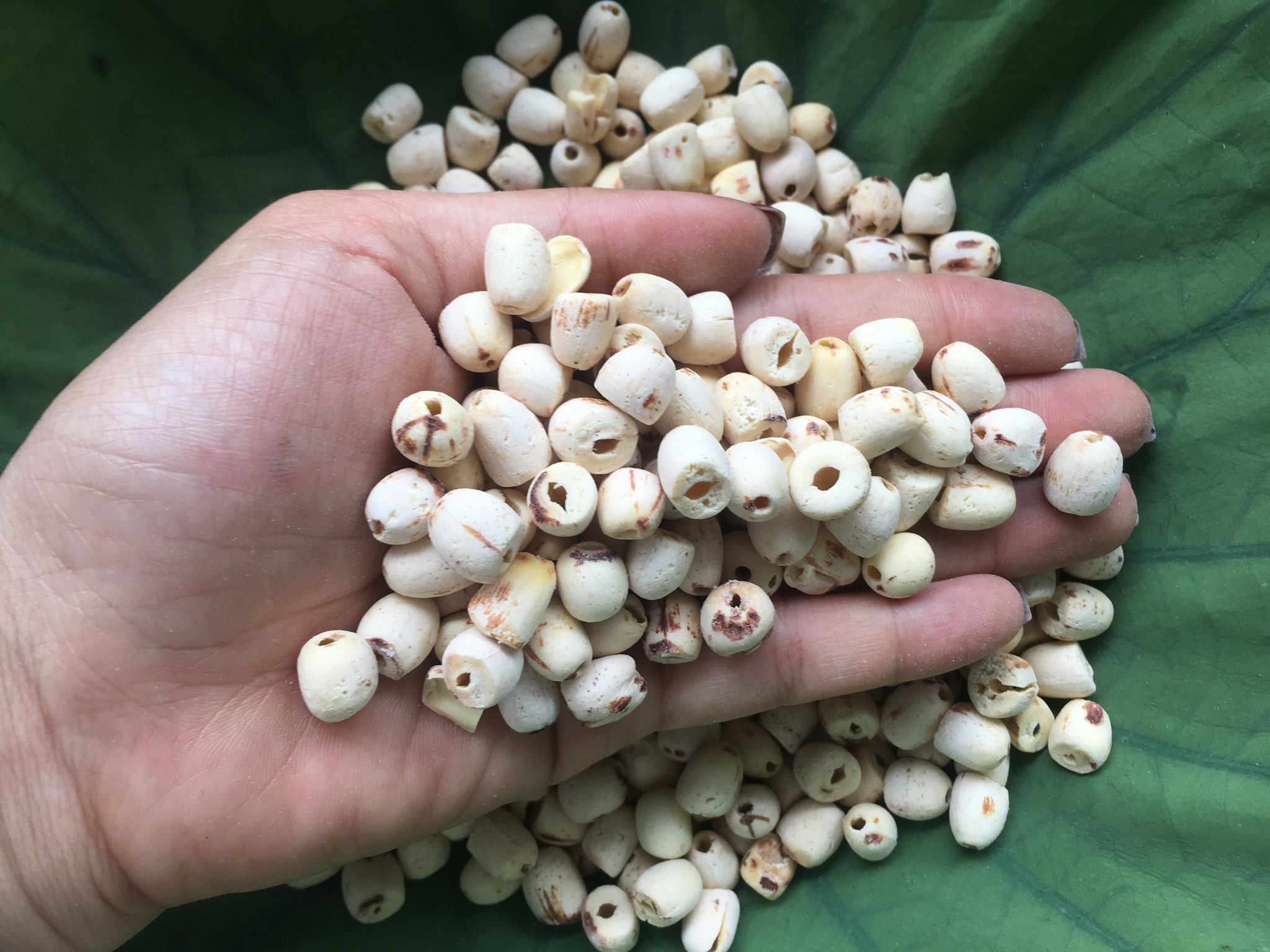Cách bóc vỏ hạt sen hanh