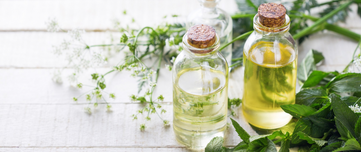 Tinh dầu hương nhu có tác dụng gì