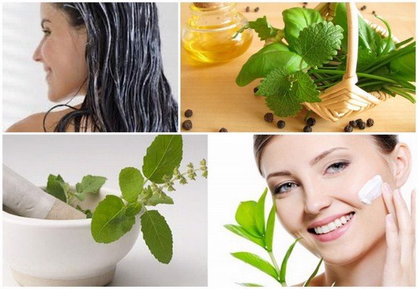 Cách sử dụng tinh dầu hương nhu