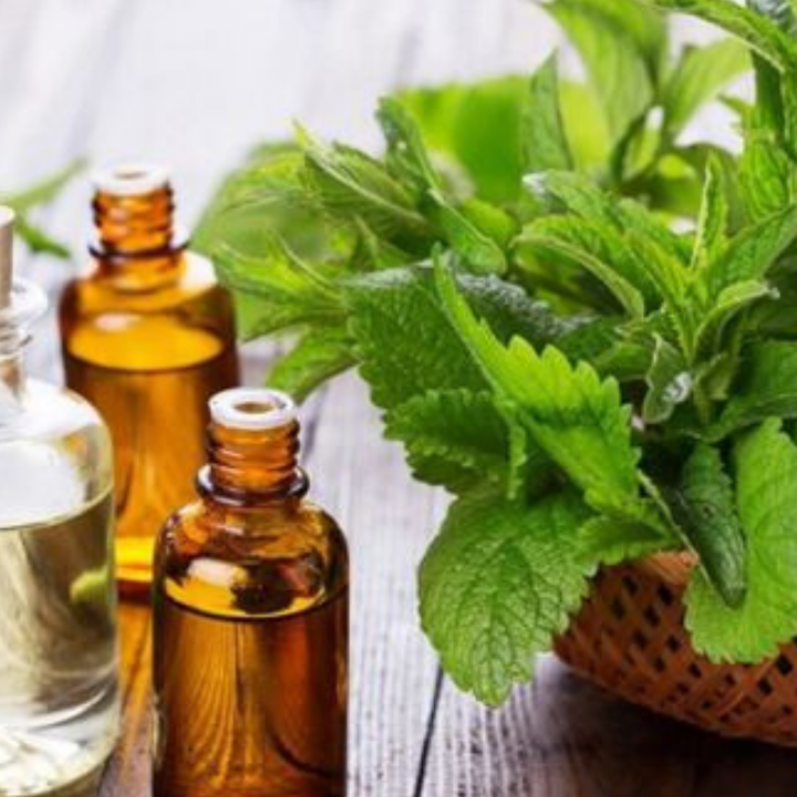 Cách làm tinh dầu hương nhu tại nhà