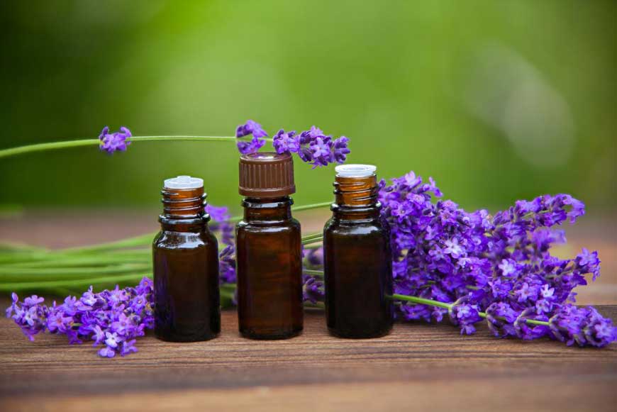 tinh dầu oải hương lavender có tác dụng gì
