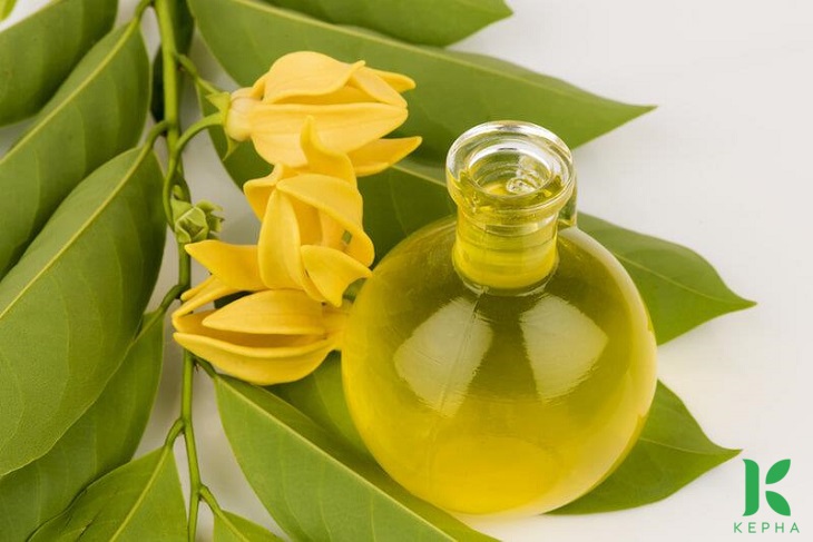 tinh dầu ngọc lan tây có tác dụng gì