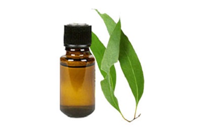 tinh dầu khuynh diệp giá bao nhiêu