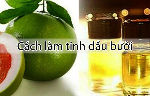 Cách làm tinh dầu bưởi bằng phương pháp ép
