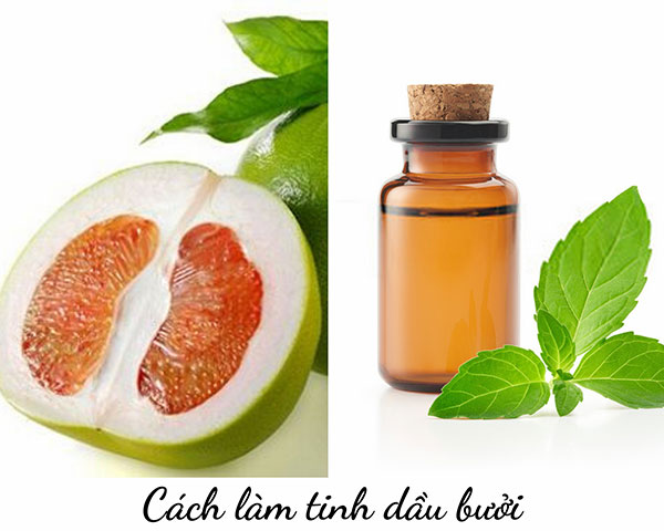 Cách làm tinh dầu bưởi bằng dầu nền