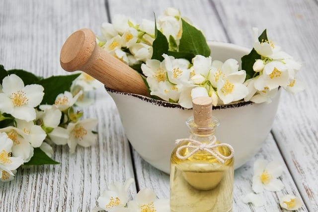 tinh dầu hoa nhài mua ở đâu