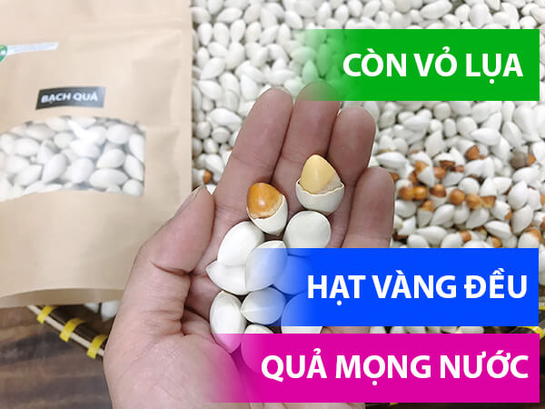 bạch quả mua ở đâu