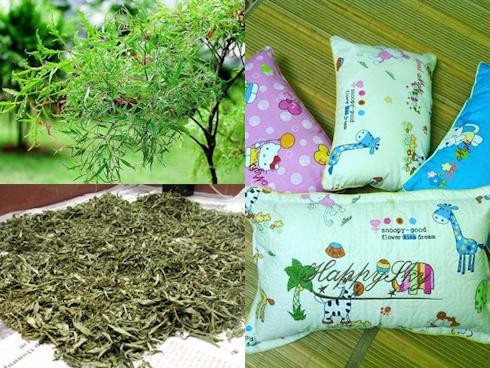 Công hiệu lúc tắm nước lá đinh lăng cho trẻ sơ sinh