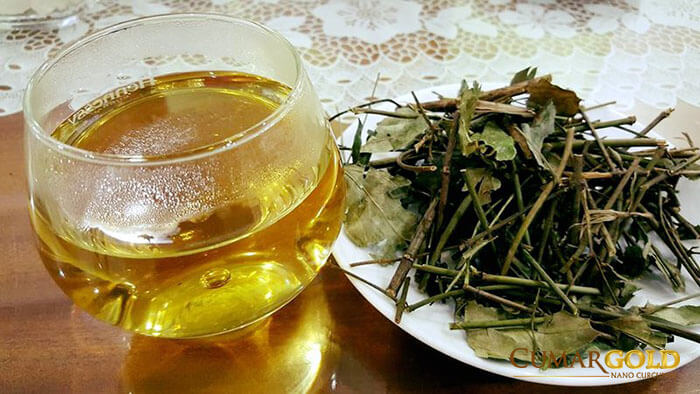 Cách sử dụng chè vằng hiệu quả