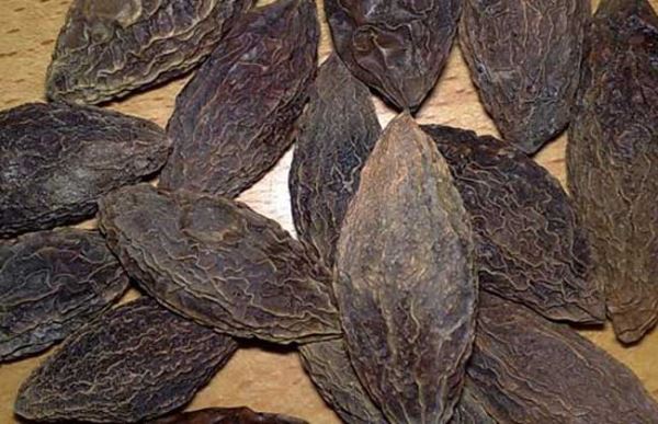 Quả Kha tử chống tiêu chảy