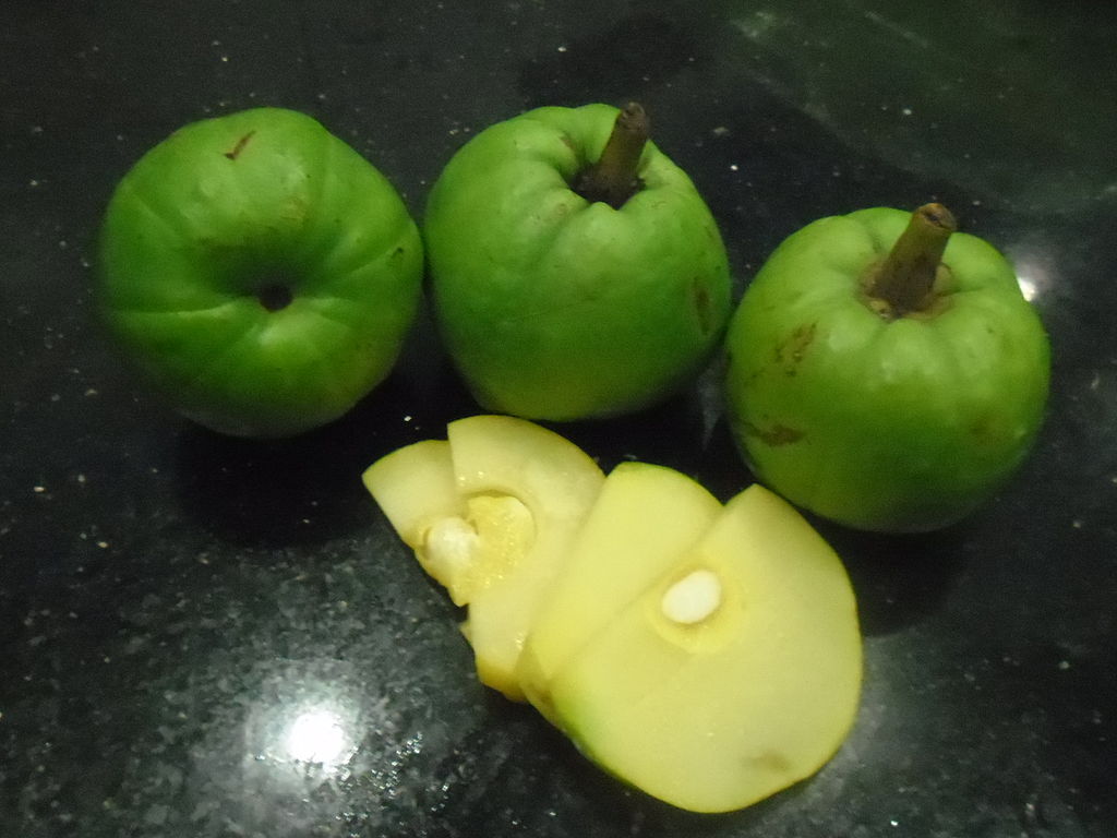 Tác dụng quả tai chua