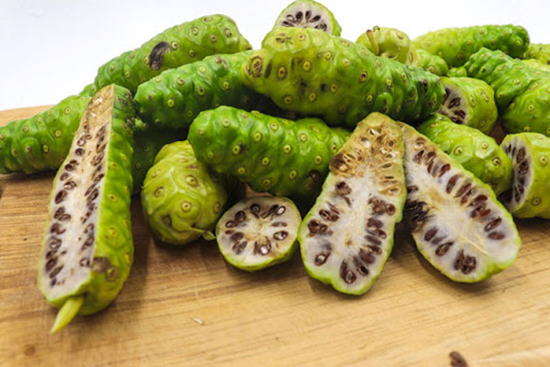 Quả nhàu là quả gì