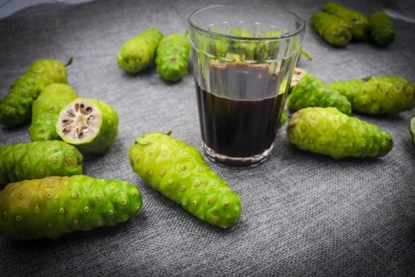 Trái nhàu giúp làm giảm lần đau ở bệnh viêm khớp mãn tính