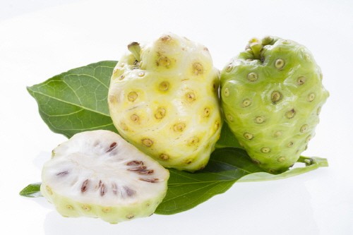 Làm nước cốt trái nhàu