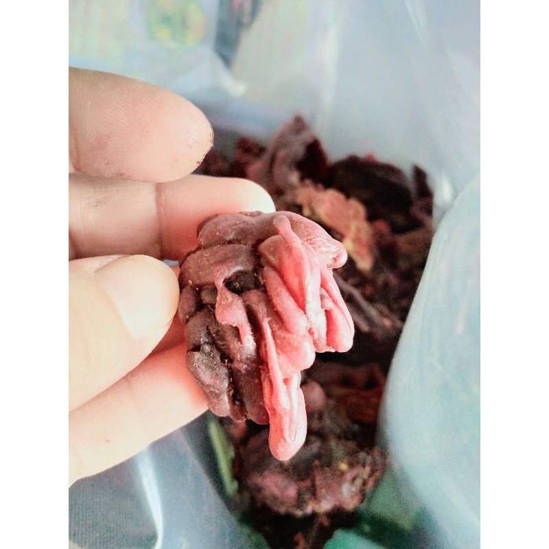 Phân biệt mủ gòn và mủ trôm