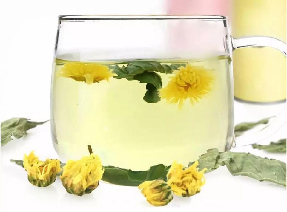 Trà hoa cúc lợi sữa
