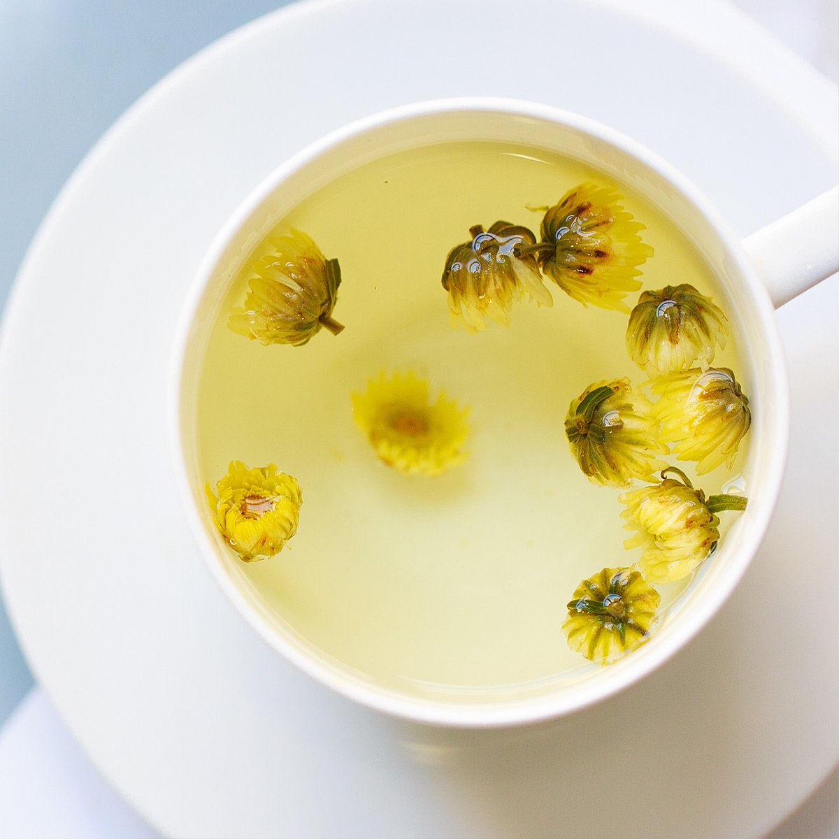 Tác dụng của trà hoa cúc với phụ nữ mang thai