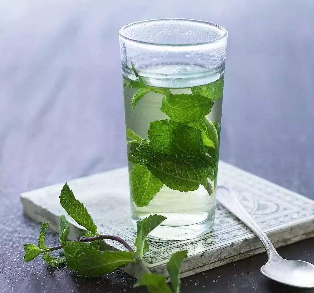 trà bạc hà