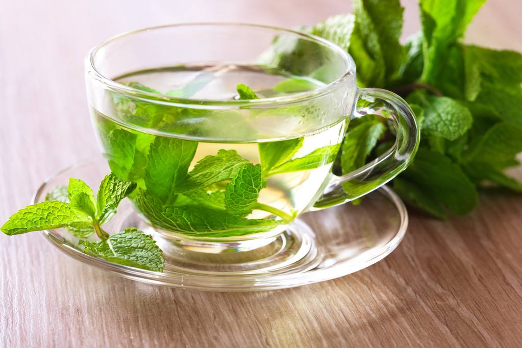 Tìm hiểu về trà bạc hà