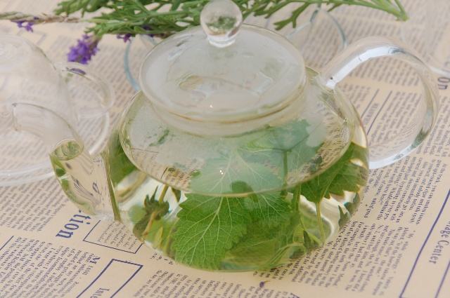 Trà bạc hà có mấy loại