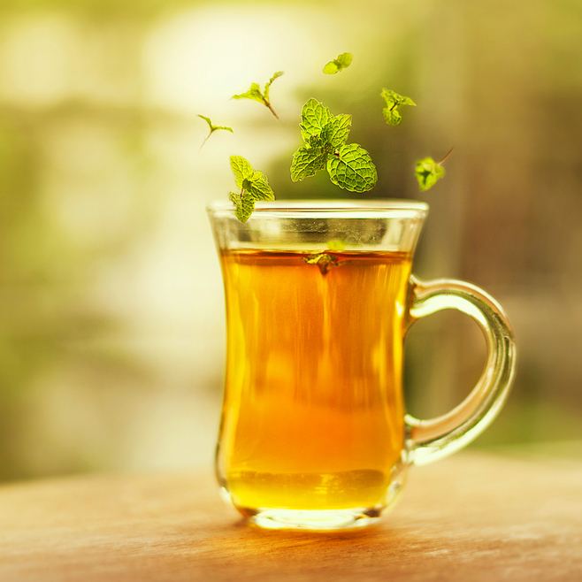 Uống trà bạc hà giảm cảm cúm