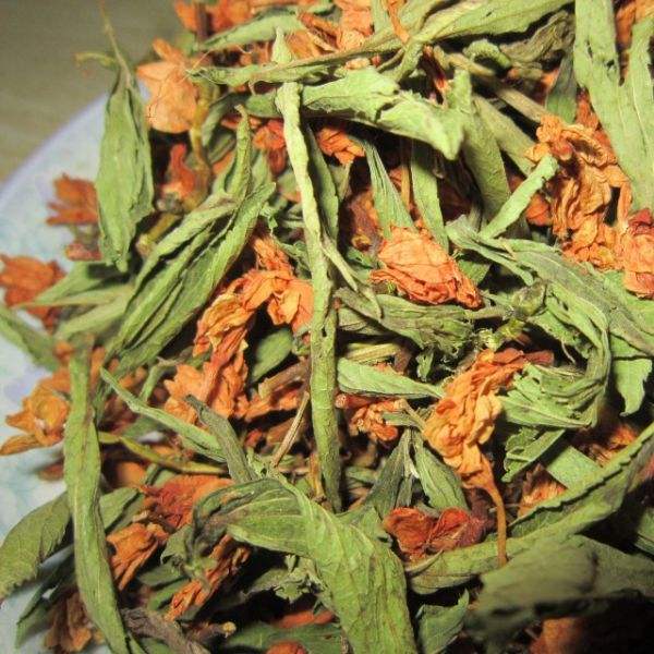 Trà cỏ ngọt