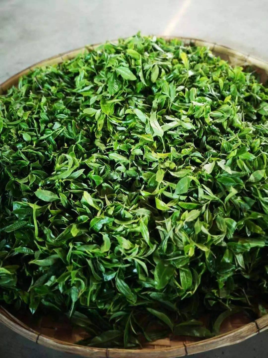 Thanh lọc cơ thể nhờ trà cỏ ngọt
