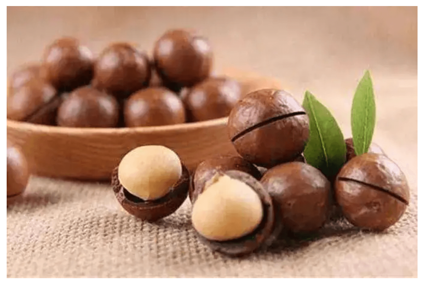 hạt macca bao nhiêu calo