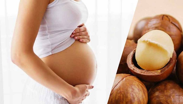 hạt macca có tác dụng gì cho bà bầu