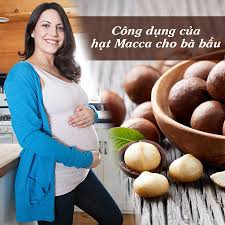 Hạt macca Giới hạn tỷ lệ thai bị dị tật