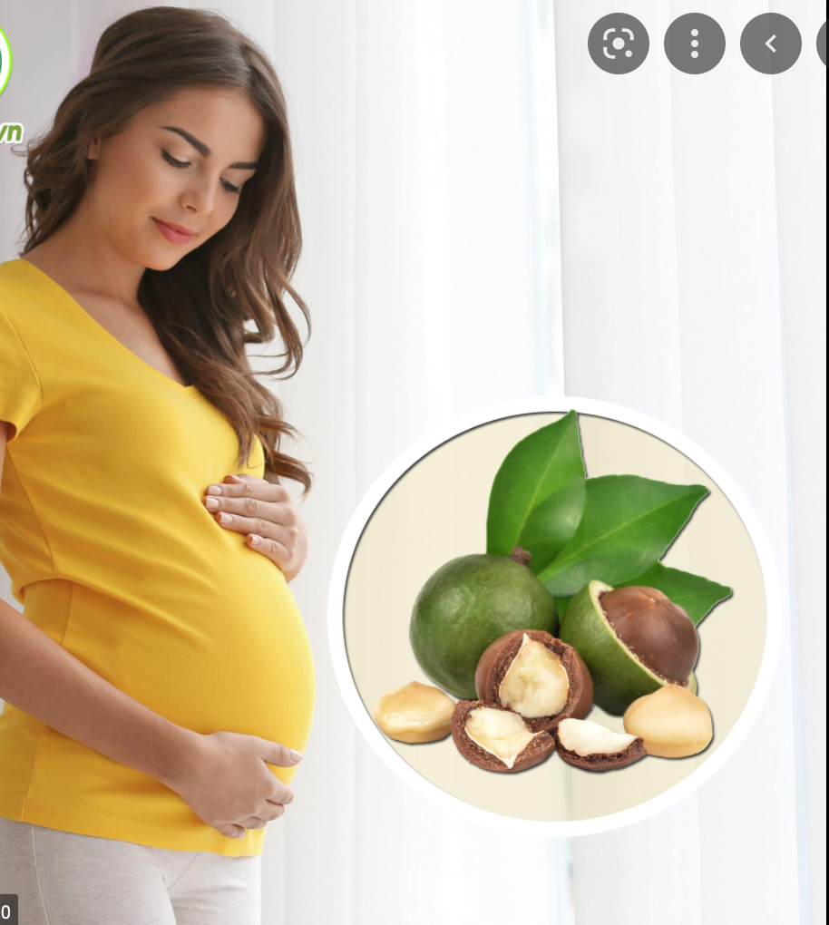 Mẹ bầu nên ăn hạt macca khi nào?