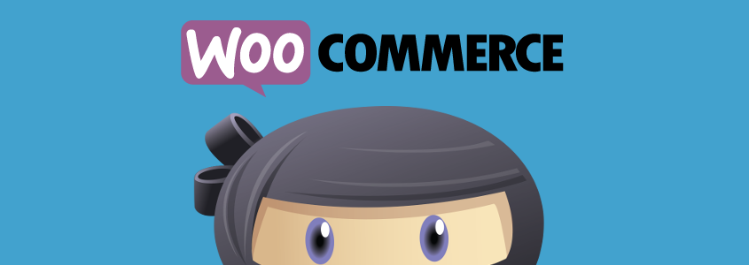 WP Adverts – WooCommerce Integration Addon WP Adverts – WooCommerce Integration Addon