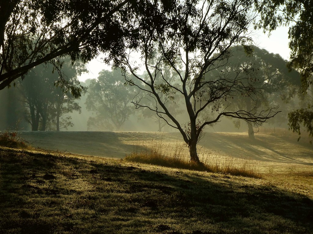 Main Yarra Trail landscape