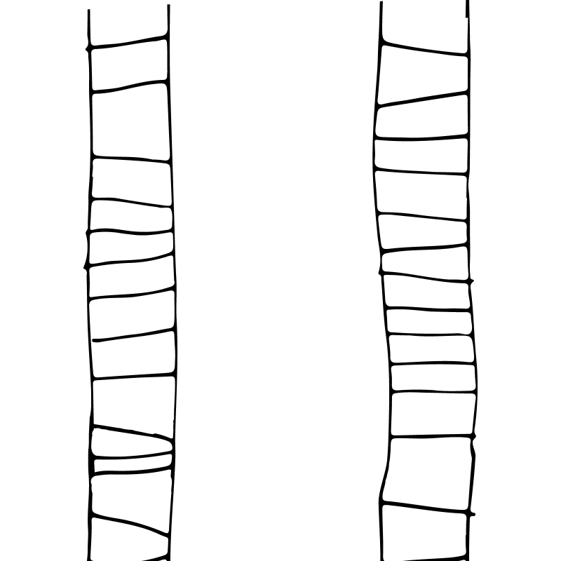 Pattern 46