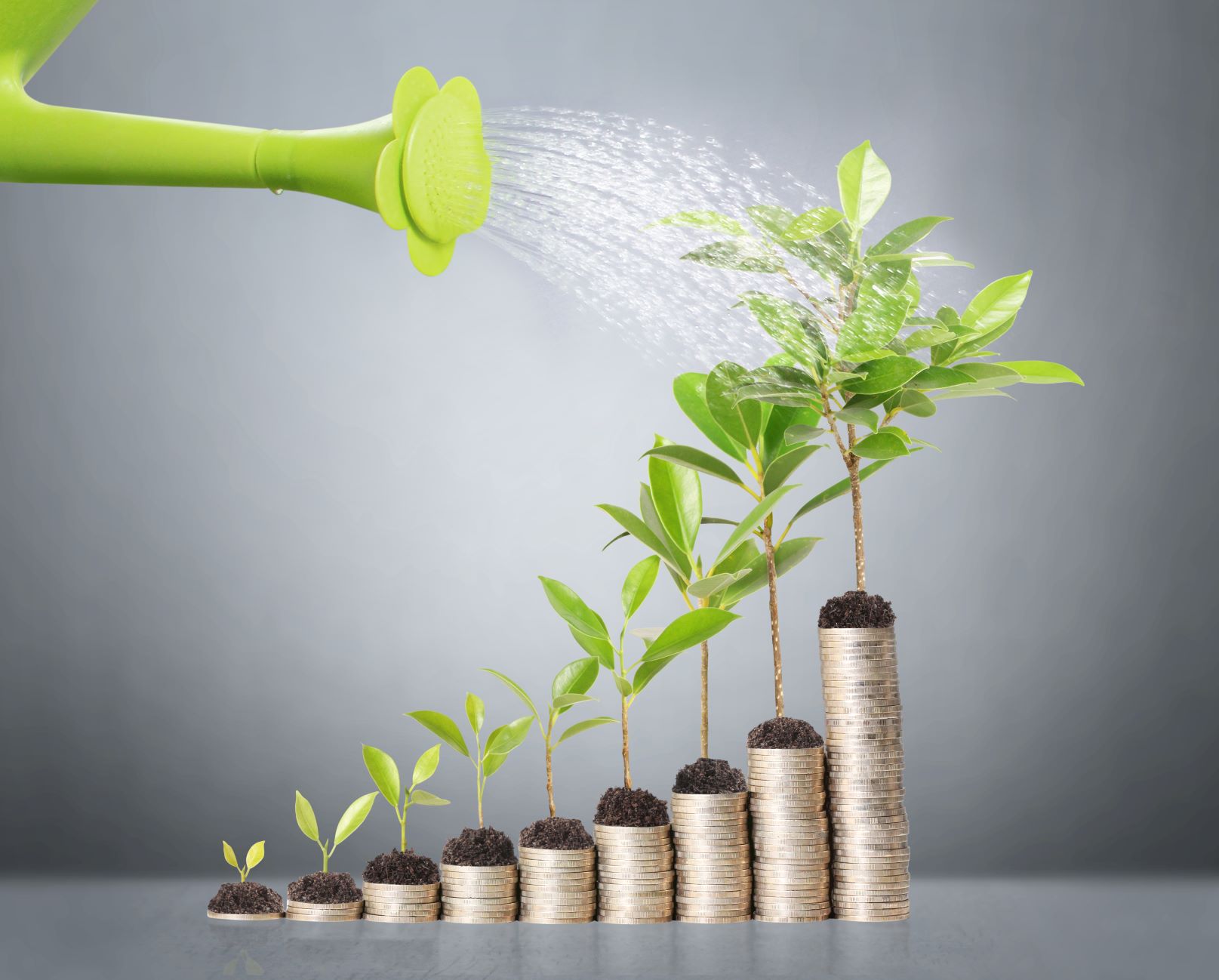Está na hora de investir em Tesouro Prefixado?