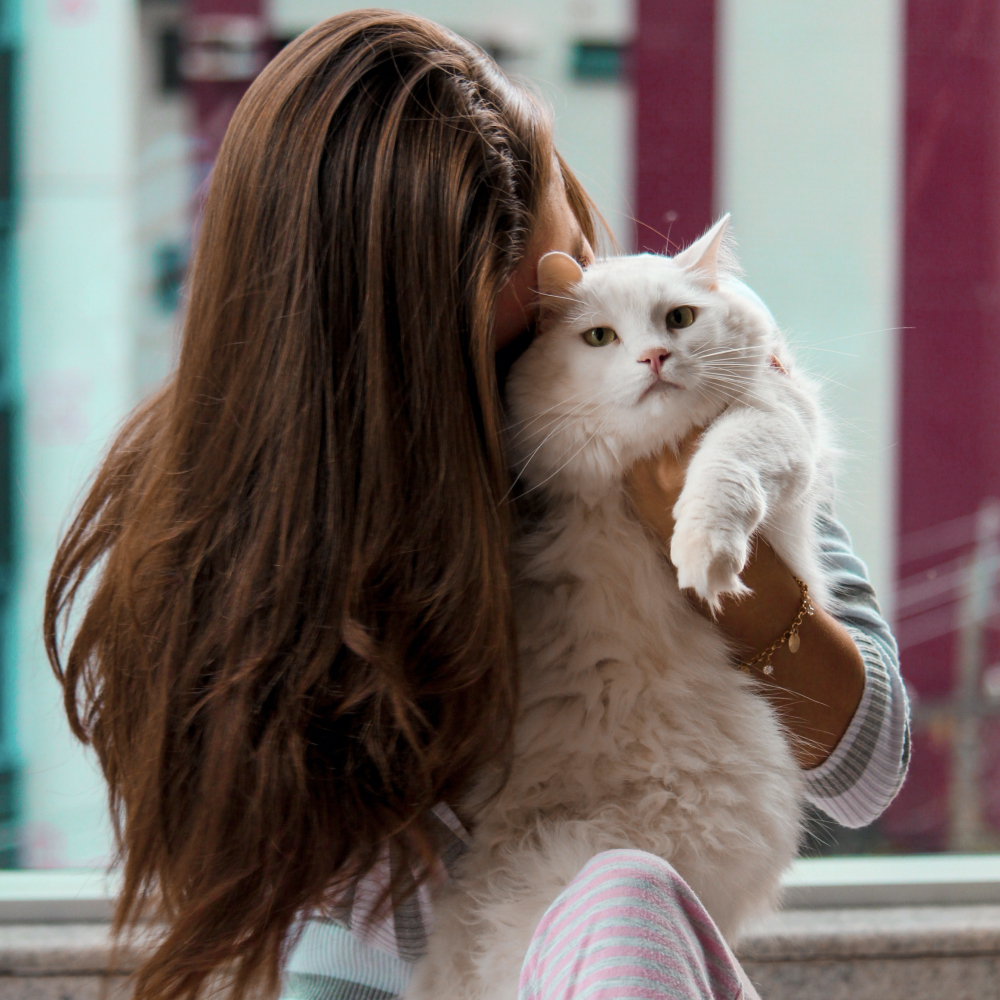Female cat owner cuddling with white fluffy cat